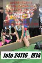 24116_M14-