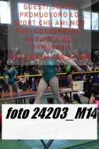 24203_M14-