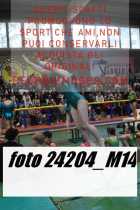 24204_M14-