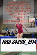 24290_M14-