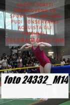 24332_M14-
