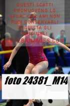 24381_M14-