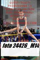 24426_M14-