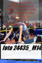 24435_M14-