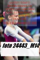 24443_M14-