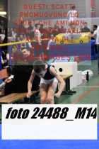 24488_M14-