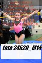 24520_M14-