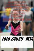 24529_M14-