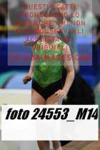 24553_M14-