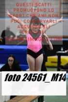 24561_M14-