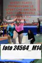 24564_M14-