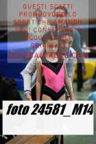 24581_M14-