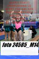24585_M14-