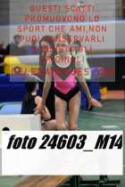 24603_M14-