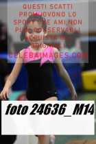 24636_M14-