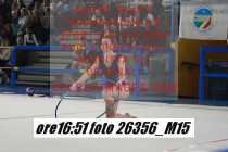 26356_M15-
