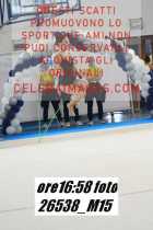 26538_M15-