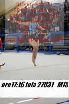27031_M15-