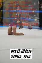 27065_M15-