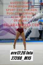 27288_M15-