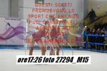 27294_M15-