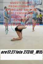 27310_M15-