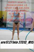 27313_M15-