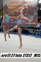 27317_M15-
