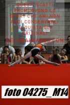 04275_M14-