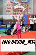 04336_M14-