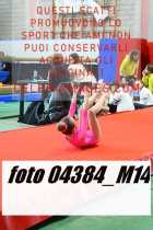04384_M14-