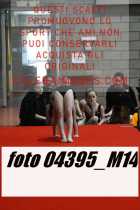 04395_M14-