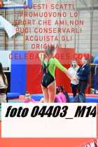 04403_M14-