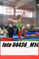 04436_M14-