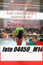 04450_M14-