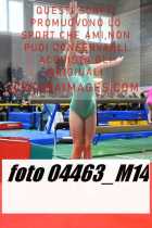 04463_M14-