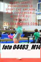 04483_M14-