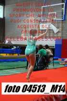 04513_M14-