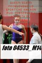 04533_M14-