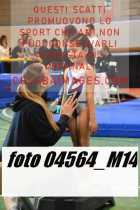 04564_M14-