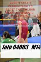 04603_M14-