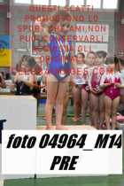 04964_M14-PRE