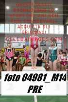 04981_M14-PRE