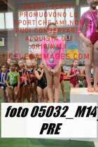 05032_M14-PRE