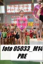 05033_M14-PRE