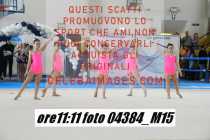 04384_M15