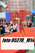 05278_M14-
