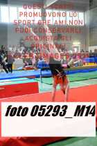 05293_M14-