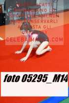 05295_M14-