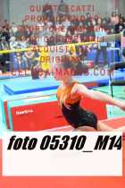 05310_M14-